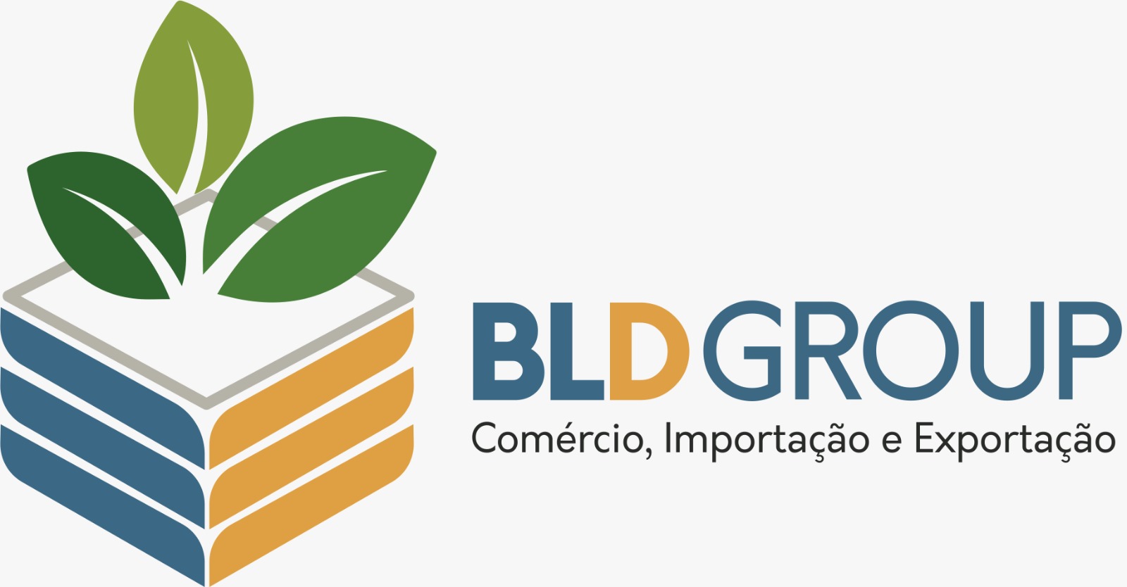 BLD Gruoup - Cliente MAITRIZ Log